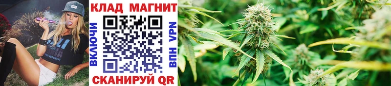 Купить наркотики цена Сычёвка A PVP МАРИХУАНА Мефедрон ГАШИШ КОКАИН