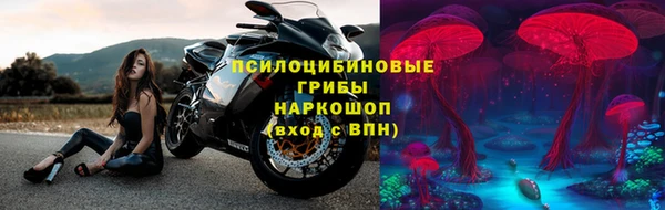 дживик Лагань