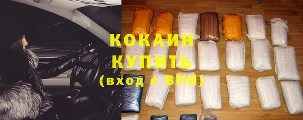 дживик Лагань