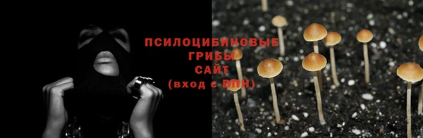 каннабис Лабытнанги