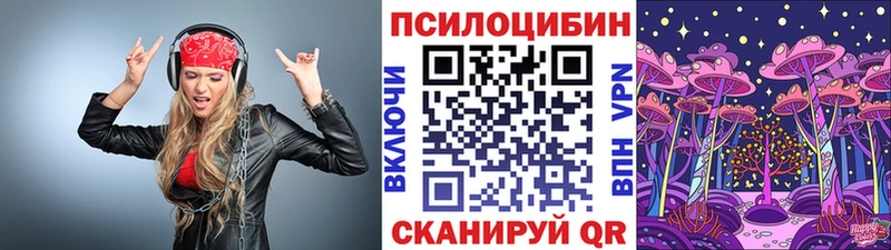 где купить наркотик  Сычёвка  Псилоцибиновые грибы мицелий 