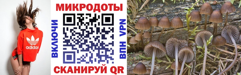 Галлюциногенные грибы Cubensis Сычёвка